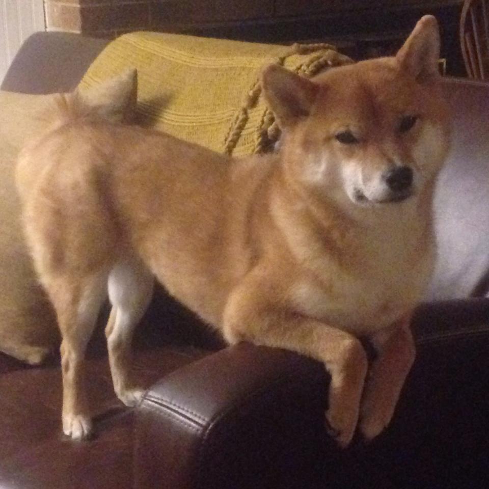 【丁俊晖】夺冠后揭秘:比赛中的攻守平衡秘诀,丁俊晖经典防守